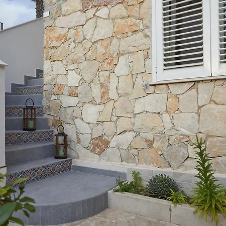Zamia Con Piscina