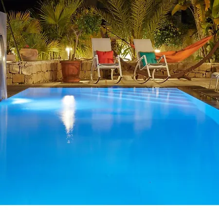 Zamia Con Piscina